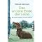 Die Welt der Hunde