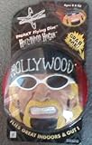 Sporting Goods : Hulk Hogan Frisbee