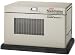 PowerStation 10,000-Watt 20 HP Standby Generator #PM400911