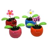 Solar Dancing (2 flowers, a butterfly, and a ladybug)