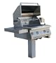 Solaire 30-Inch Infrared Natural Gas In-Ground Post Grill with Rotisserie Kit, Stainless Steel