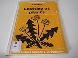 Looking at plants