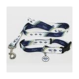 Tampa Bay Rays Dog Collar & Leash Set
