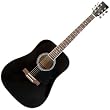 hudson guitar