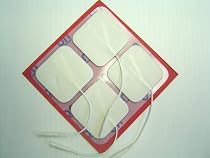 32 New Quality Sealed Reusable 2" x 2" Electrodes - with Pro-Stick Adhesive