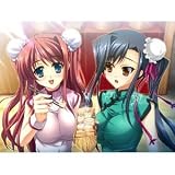 views Shin Koihime Muso Otome Ryoran Sangokushi Shingi Syokuhen for PSP for PSP [Japan Import]