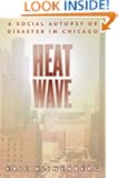 Heat Wave: A Social Autopsy of Disaster in Chicago (Illinois)