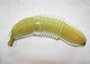 Relags Banana Bunker (Farbe: transparent)