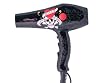 Ed Hardy 10006 1800 Watt Professional Hair Dryer with Nano Silver Technology, Skull And Cross Bones