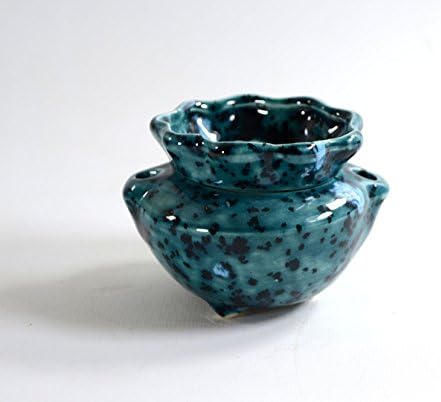 Miniature Tiny African Violet Pot Ocean Mist