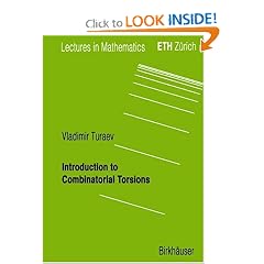 Introduction to Combinatorial Torsions