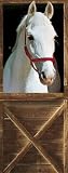(34x79) Sebastian Horse Giant Door Poster Art Print