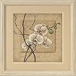 Dimensions Crafts Oriental Orchids Counted Cross Stitch Kit 12"X12" 35176, 1 Item(s)/Order