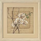 Dimensions Oriental Orchids Counted Cross Stitch Kit