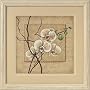 Dimensions Oriental Orchids Counted Cross Stitch Kit