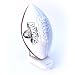 Oakland Raiders Fun Football & Stand