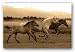 Horse Trio by Robert Dawson 24"x36" Art Print Poster