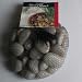 (Price/2)Polished River Rock 2lb Bag White