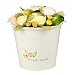 The Baby Bunch- Large Bucket Yellow Baby Bunch