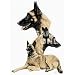 Belgian Malinois Desk Set