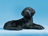 XX-Large Labrador Dog Puppy Lying Figure Figurine Realistic Lifelike