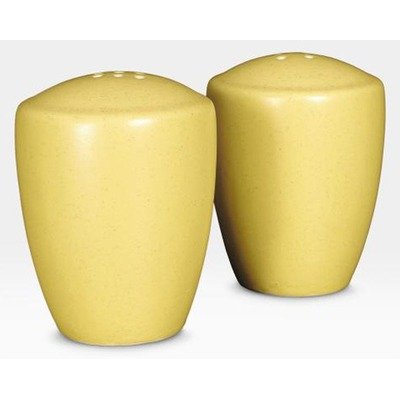 Noritake Colorwave Salt and Pepper Mustard