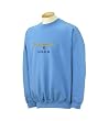 Custom embroidered Coast Guard Got Freedom? design on sweatshirt
