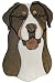 Greater Swiss Mountain Dog #1 Wooden Dog Plaque