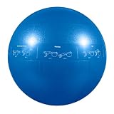 GoFit 2000 lb. Professional Grade Core Stability Ball