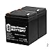 Mighty Max Battery ML5-12 - 12V 5AH Solex BD124 Alarm Back Up DSC Security Panel Replacement Battery - 2 Pack brand product