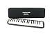 Hurricane Harps M37 Professional 37 Key Melodica with Deluxe Case and two mouthpieces