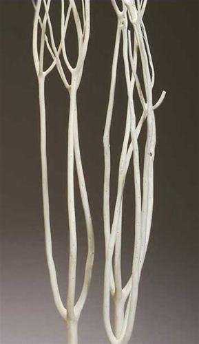 Mitsumata Branches 4' decorative branches for sale