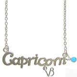 Capricorn Horoscope Zodiac Nameplate Necklace In Silver