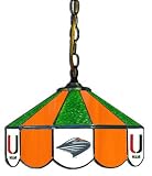 14 Swag Hanging Lamp Light University of Miami Hurricanes - Free Shipping