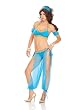 Arabian Nights Holiday Party Costume