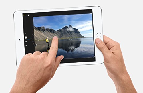 Apple iPad mini 4 (7,9 Zoll) Tablet-PC + Extra Zubehör - 3