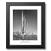 Ansel Adams Cactus B/W Photo Picture Framed Art Print