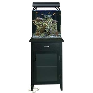 Current USA Solana 34 Gallon Aquarium w/ 6x18W Nova Extreme Pro T5HO & Modern Black Stand
