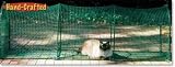 Pet Supplies : Kittywalk Deck & Patio Enclosure