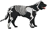 SMALL - BONEY DOG - Pet Halloween Costume