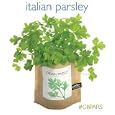 Italian Parsley