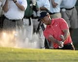 Tiger Woods Bunker Shot - Art Print Poster 10 x 8