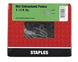 ACE FENCE STAPLE 1-1/4