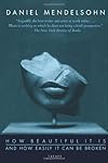 How Beautiful It Is And How Easily It Can Be Broken: Essays