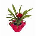 4" Sisal Flower Shape Planter- Bright Pink