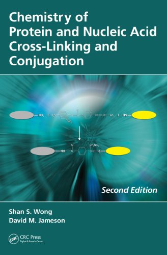 Chemistry of Protein and Nucleic Acid Cross-Linking and Conjugation, Second Edition On Sale