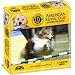 American Kennel Club DVD Board Game Image