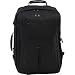Rick Steves Convertible Carry On