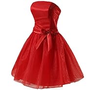 Strapless Cocktail Knee Length Bridesmaid Dress/Prom Dress/Party Dress 