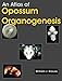 Book An Atlas of Opossum Organogenesis: Opossum Development